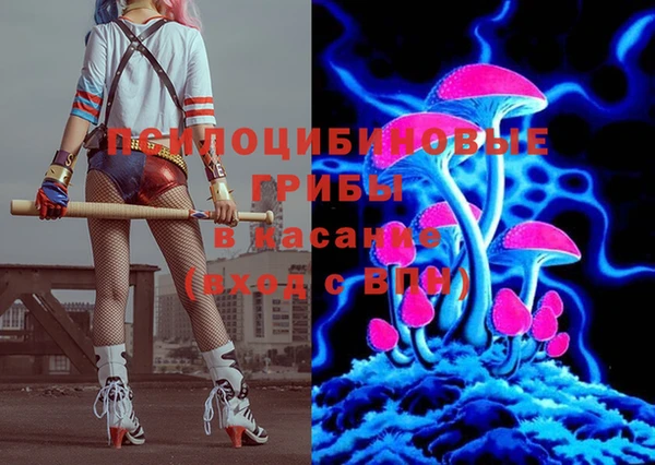 стаф Михайловск