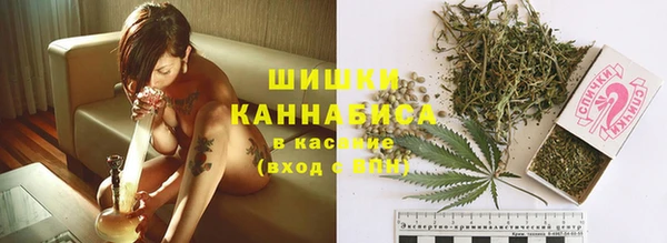 стаф Михайловск